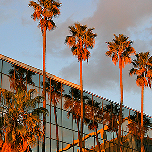 Navigating the Florida Real Estate Market: Essential Tips for Home Buyers